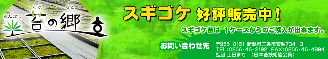 らんぽく 苔の郷ショッピングサイト 近日オープン